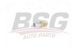 BSG 25840005 Hararet Müşürü