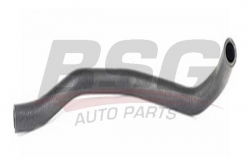 BSG 30720199 Kalorifer Hortumu