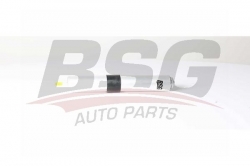 BSG 15130005 Yakıt Filtresi