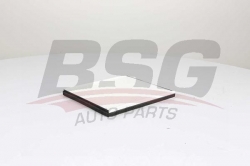 BSG 16145002 Polen Filtresi