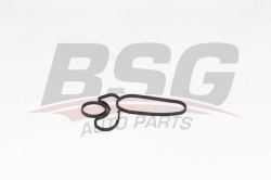BSG 15116021 Yağ Radyatör Contası
