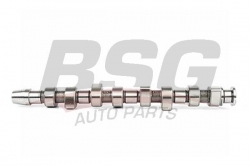 BSG 90108002 Eksantrik Mili