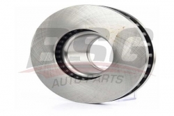 BSG 60210010 Fren Diski Ön