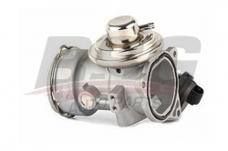 BSG 90836012 Egr Valfi