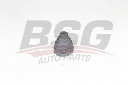 BSG 25705007 Aks Körüğü İç