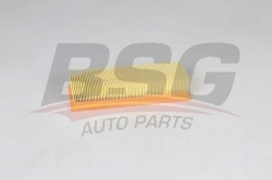 BSG 25135006 Hava Filtresi