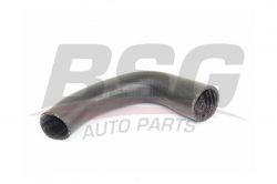 BSG 25720033 Turbo Hortumu