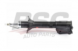 BSG 40300010 Amortisör Arka Sağ