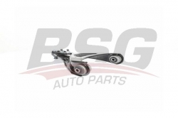 BSG 75315016 Salıncak Ön Sol