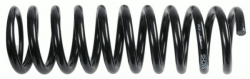 SACHS 996069 Helezon Yayı Arka