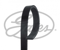GATES 5PK1810 V Kayışı