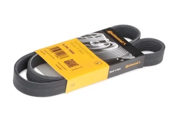 C 6PK 1530 V Kayısı