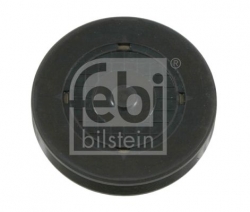 FEBI BILSTEIN 23204 Eksantrik Tapası/Silindir Kapak Tapası
