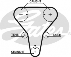 Triger Kayişi 123X220 Mazda 323 1.5/1.6 16V Ford Active 1.6 16V