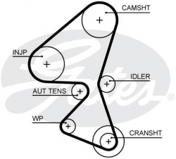 GATES 5656XS Triger Kayışı