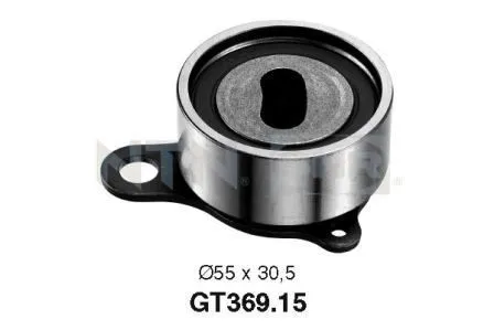 Triger Gergi Rulmanı  SNR GT369.15