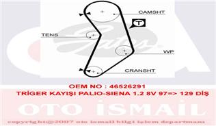 GATES 5545XS Triger Kayışı - . Görsel