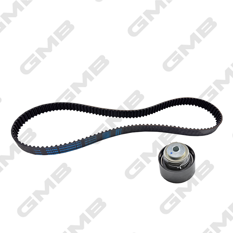 Triger Kayışı Seti Schaeffler INA 530 0144 10