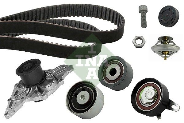 INA 530041631 Triger Seti