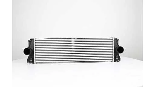 Turbo Radyatörü  BSG 60-535-007
