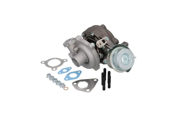 Turbo Şarj  BSG 25-100-001