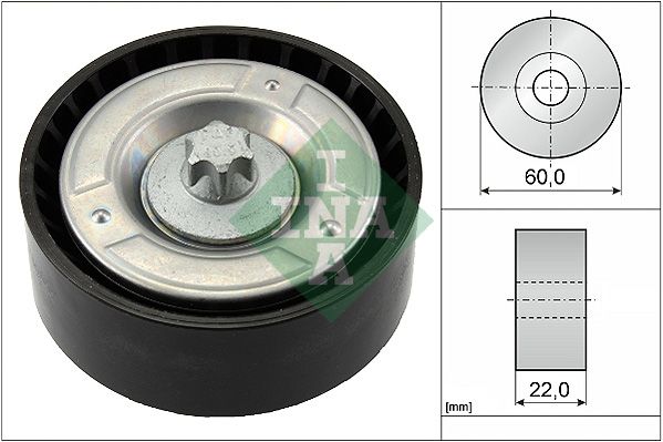 INA 532079810 V Kayış Gergi Rulmanı