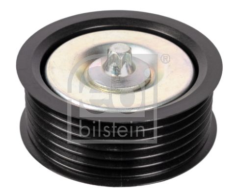 FEBI BILSTEIN 30289 V Kayış Gergi Rulmanı