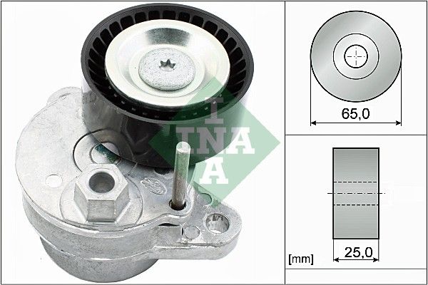 INA 534054010 V Kayış Gergisi Komple