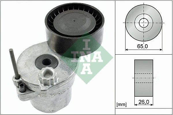 INA 534057010 V Kayış Gergisi Komple