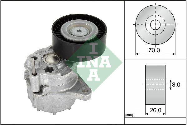 INA 534048110 V Kayış Gergisi Komple