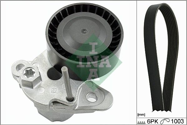INA 529015910 V Kayış Seti