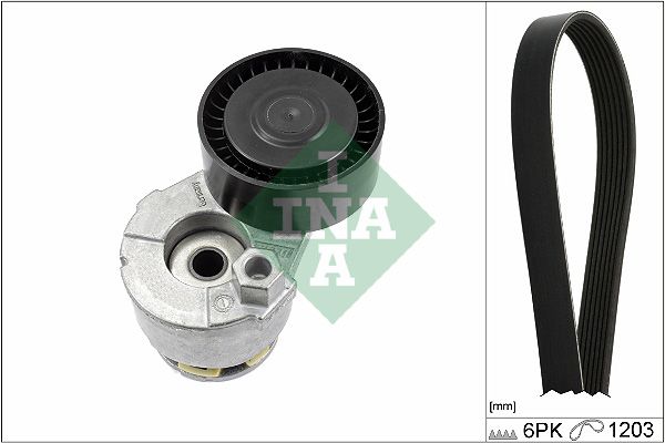 INA 529000910 V Kayış Seti
