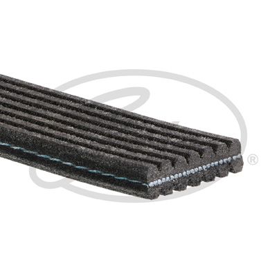 GATES 7DPK1880 V Kayışı - . Görsel