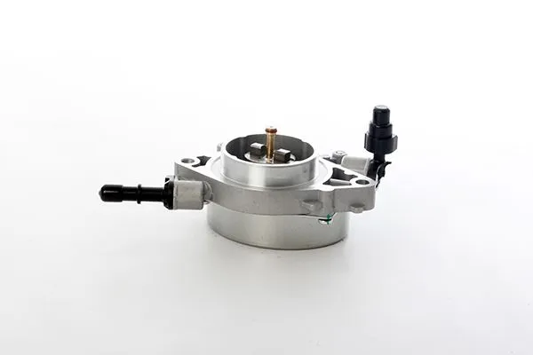 Vakum Pompa  BSG 30-235-010