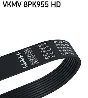 Vantilatör Kayışı  SKF VKMV 8PK955 HD