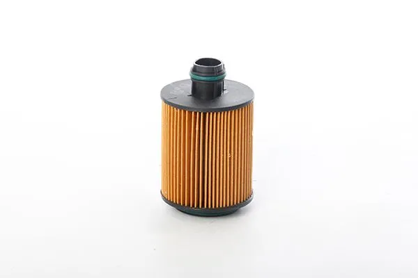 Yağ Filtresi  BSG 70-140-004