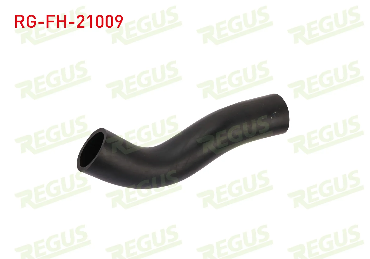 Yakıt Borusu  REGUS RG-FH-21009