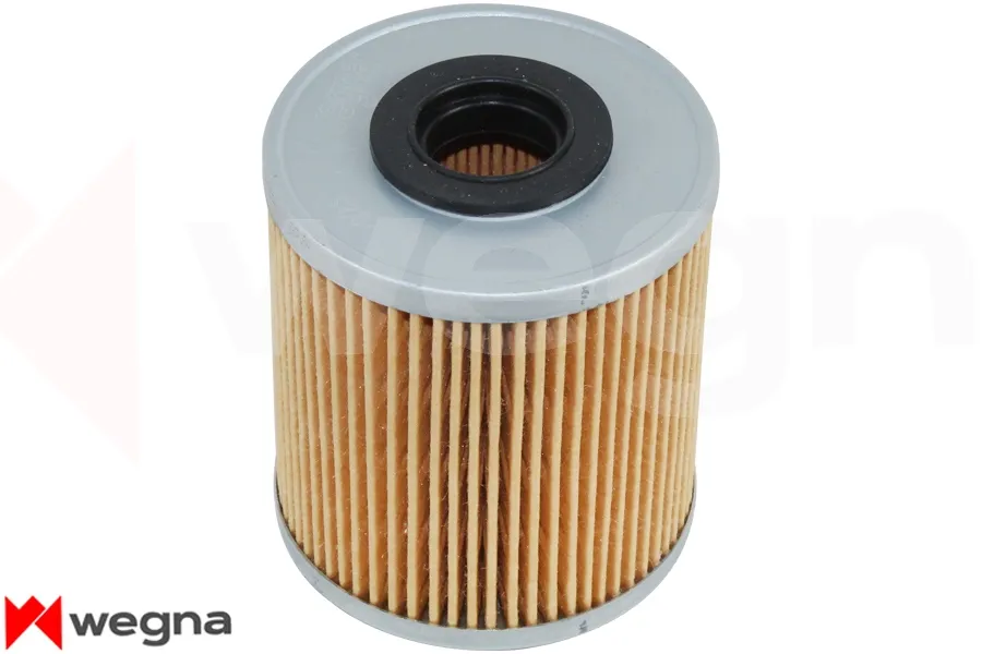 Yakıt Filtresi  WEGNA WF4076
